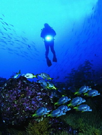 Galapagos