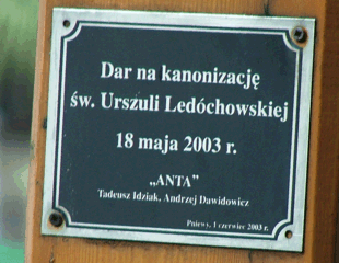 fot. Mateusz D.