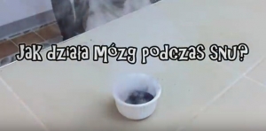 Co robi mózg, gdy człowiek śpi?