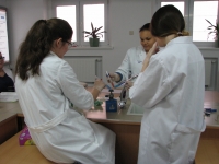 Chemiczna sobota